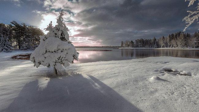 Обои картинки фото природа, зима, озеро