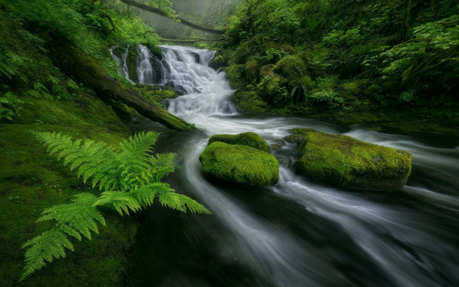 Обои картинки фото природа, водопады, мох, камни, река