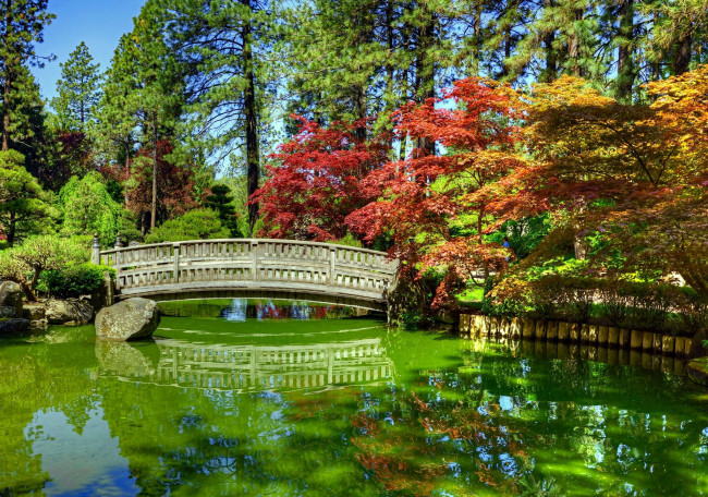 Обои картинки фото природа, парк, мостик, водоем, осень