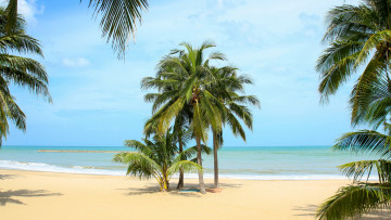 обоя природа, тропики, море, пальмы