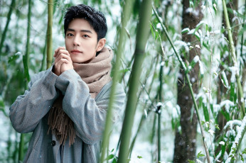 обоя мужчины, xiao zhan, пальто, шарф, снег, бамбук