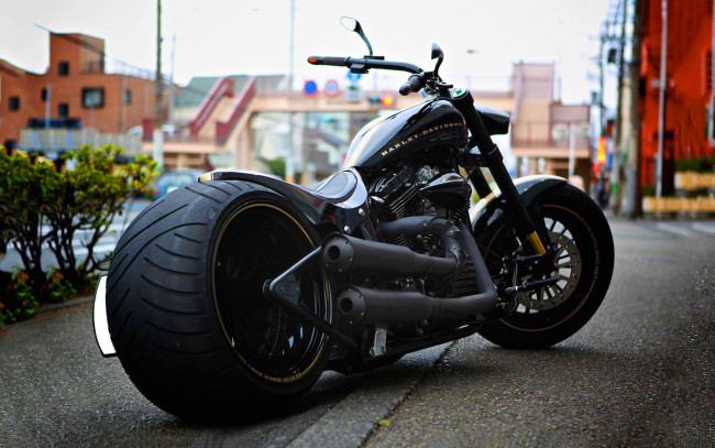 Обои картинки фото harley, мотоциклы, harley-davidson, мотоцикл, байк