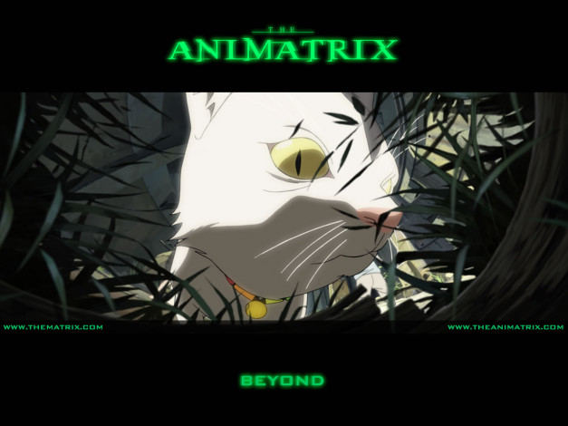 Обои картинки фото аниме, animatrix