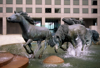 Картинка города памятники скульптуры арт объекты лошади вода
