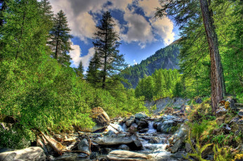 Картинка природа лес горы камни поток деревья