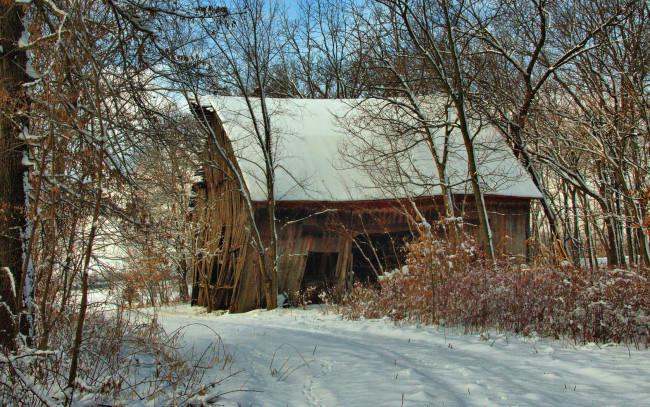 Обои картинки фото разное, развалины, руины, металлолом, деревья, снег
