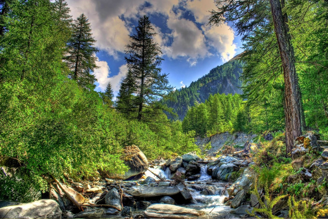 Обои картинки фото природа, лес, горы, камни, поток, деревья