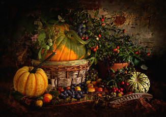 Картинка еда фрукты овощи вместе тыква виноград сливы шиповник