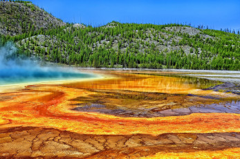 Картинка grand prismatic spring yellowstone national park wyoming природа реки озера горячий источник вайоминг деревья йеллоустон большой призматический