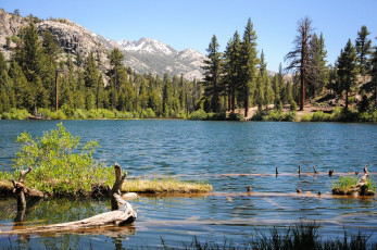 Картинка lane lake калифорния природа реки озера горы лес озеро