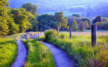Картинка природа дороги ограда дорога трава деревья