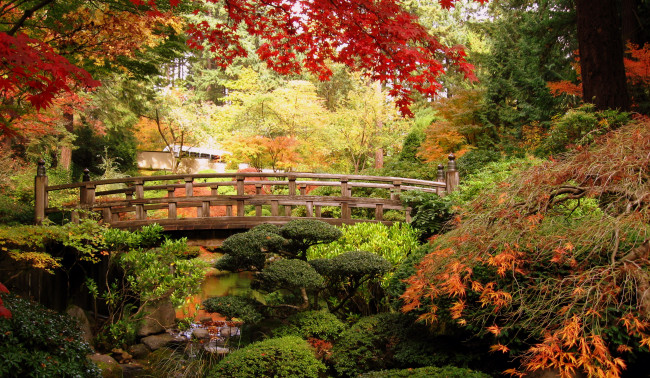 Обои картинки фото природа, парк, мостик, деревья, пруд, сад, кусты, японский