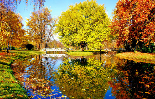 Обои картинки фото природа, парк, трава, деревья, кроны, осень, мостик, краски, река
