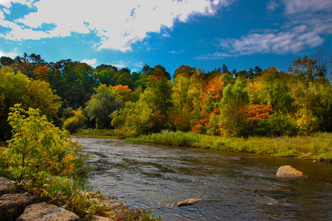 Обои картинки фото природа, реки, озера, деревья, река, осень