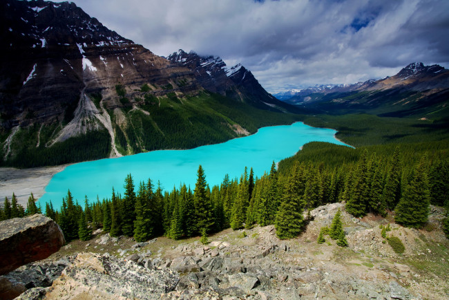 Обои картинки фото peyto, lake, banff, canada, природа, реки, озера, канада, банф, горы, лес, озеро