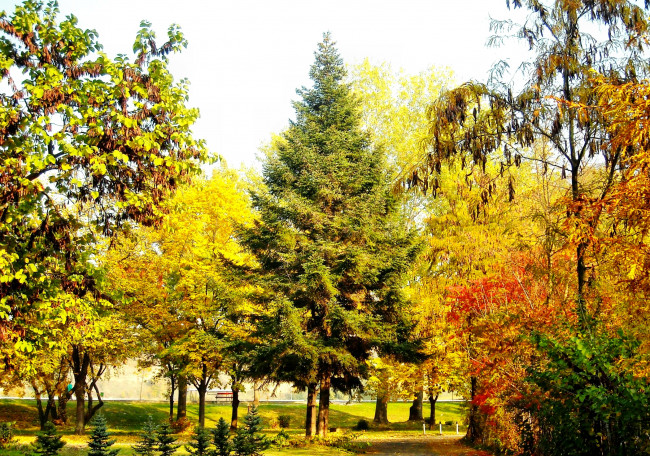 Обои картинки фото природа, парк, осень, трава, деревья, аллеи, скамейка, краски