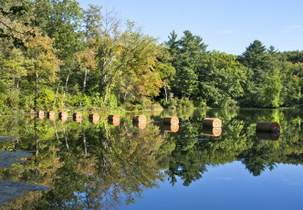 Картинка природа реки озера отражение деревья озеро вода