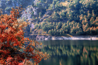 Картинка природа реки озера деревья осень лес река италия