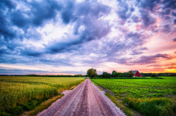 Картинка природа дороги поле лето колосья пейзаж деревня облака небо закат растения дорога