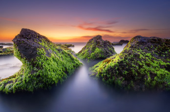 Картинка природа побережье океан камни водоросли отлив