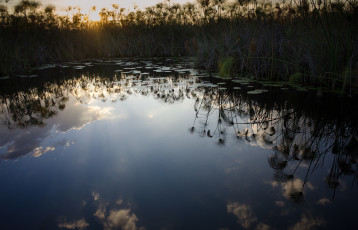 Картинка природа реки озера озеро растения отражение облака небо