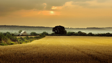 Картинка природа поля англия глостершир дом поле деревья утро туман рассвет