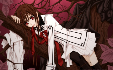 обоя аниме, vampire knight, yuuki, cross, cilou, девушка, дерево, ветки, плащ, рубашка, галстук, листья