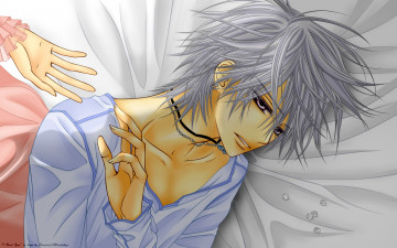 Картинка аниме vampire+knight yuuki cross kiryu zero рука мужчина таблетки кровать цепочка кулон