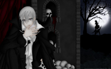 Картинка аниме vampire+knight yuuki cross kiryu zero мужчина девушка помещение шторы череп кровь цепь плащ ночь луна дерево силуэт коса cilou