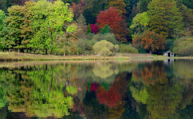 Обои картинки фото природа, реки, озера, united, kingdom, англия, великобритания, caeciliametella, photography, озеро, осень, лес, деревья, grasmere, england