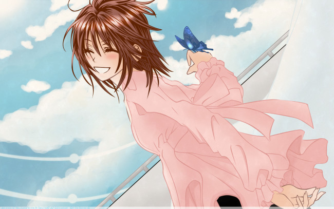 Обои картинки фото аниме, vampire knight, yuuki, cross, девушка, улыбка, небо, бабочка, облака
