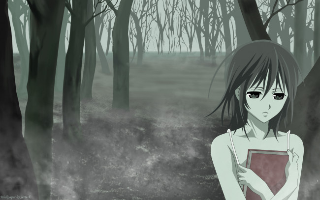 Обои картинки фото аниме, vampire knight, yuuki, cross, jertech, лес, деревья, туман, девушка, книга