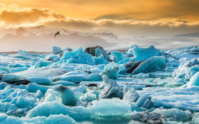 Обои картинки фото природа, айсберги и ледники, птица, закат, небо, снег, лед, льдины, озеро, ледниковая, лагуна