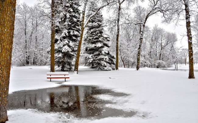 Обои картинки фото природа, зима, скамейка, деревья, снег
