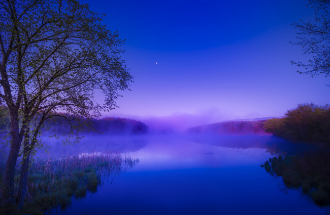 Обои картинки фото природа, реки, озера, лес, река, утро, рассвет, туман, лето