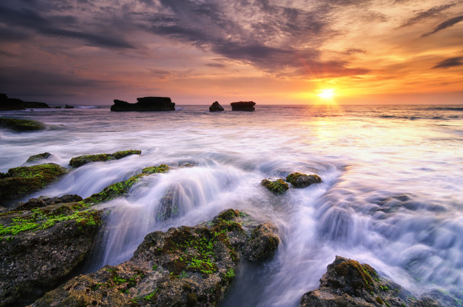 Обои картинки фото природа, восходы, закаты, океан, камни, водоросли, отлив, заря