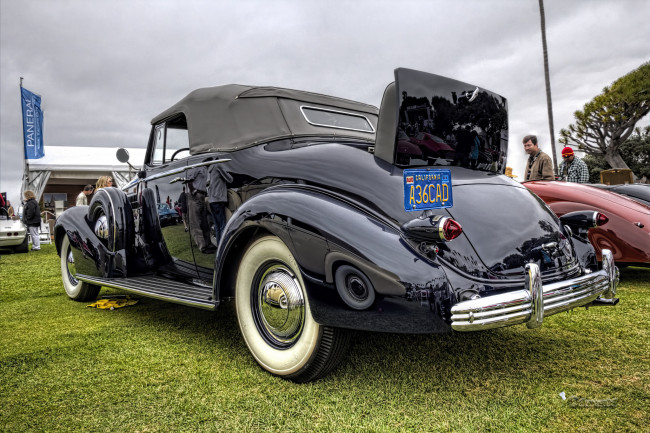Обои картинки фото 1936 cadillac fleetwood convertible, автомобили, выставки и уличные фото, выставка, автошоу