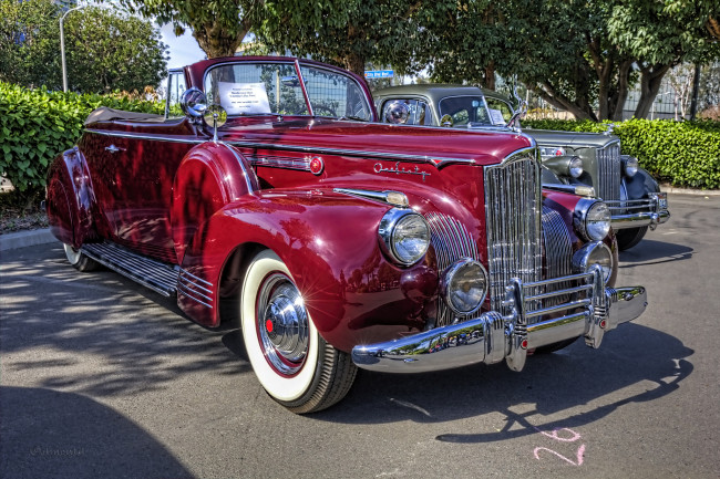 Обои картинки фото 1941 packard 160 convertible coupe, автомобили, выставки и уличные фото, автошоу, выставка