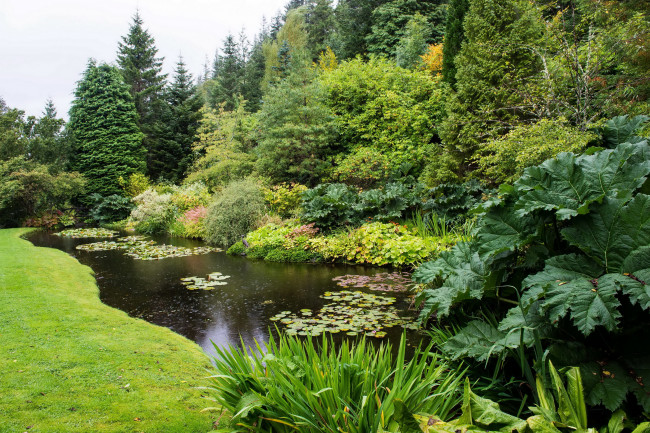 Обои картинки фото аттадейл гарденс шотландия, природа, парк, gardens, attadale, шотландия, ели, река, деревья, scotland, strathcarron