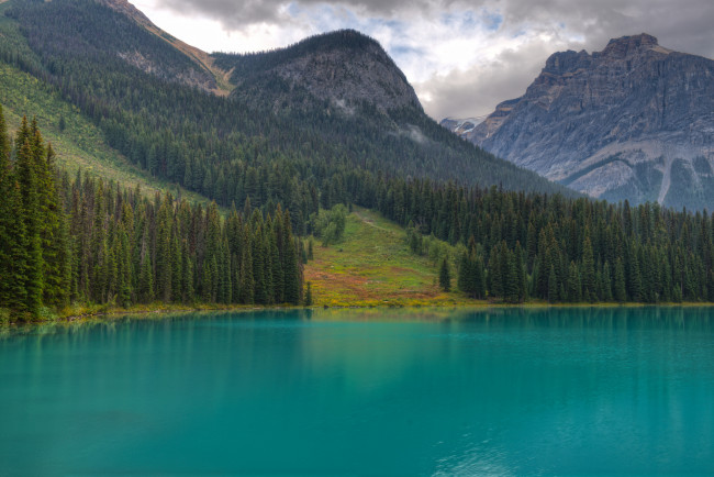 Обои картинки фото природа, горы, emerald, lake, canada, елки, british, columbia, yoho, national, park, озеро, деревья, лес