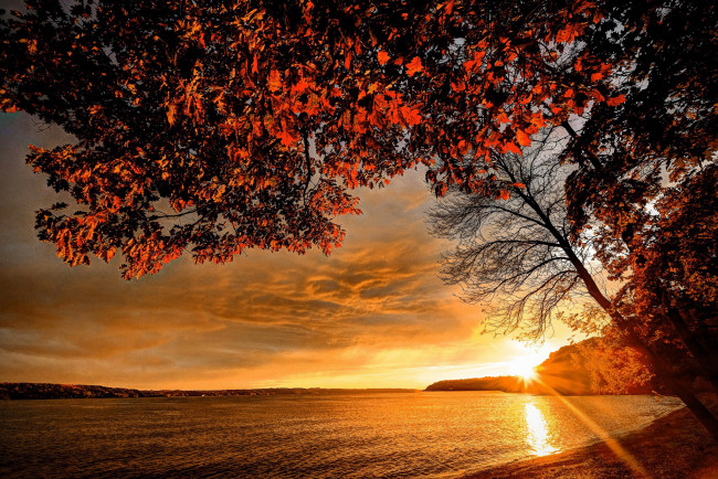 Обои картинки фото природа, восходы, закаты, побережье, деревья, закат, осень, море