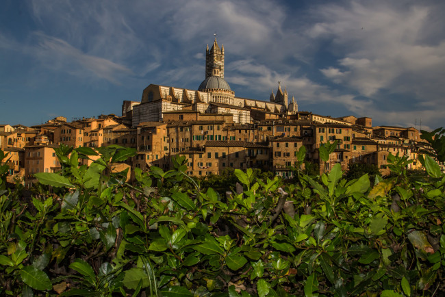 Обои картинки фото cathedral of siena, города, - католические соборы,  костелы,  аббатства, собор