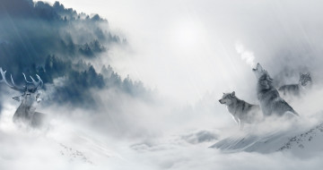 Картинка животные разные+вместе лес стая добыча олень волки арт деревья охота туман зима снег холод хищники