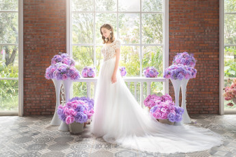 Картинка девушки -unsort+ невесты невеста платье праздник свадьба красотка