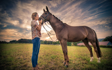 Картинка девушки -unsort+ блондинки +светловолосые поле девушка конь