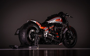 обоя harley, мотоциклы, harley-davidson, мотоцикл, байк