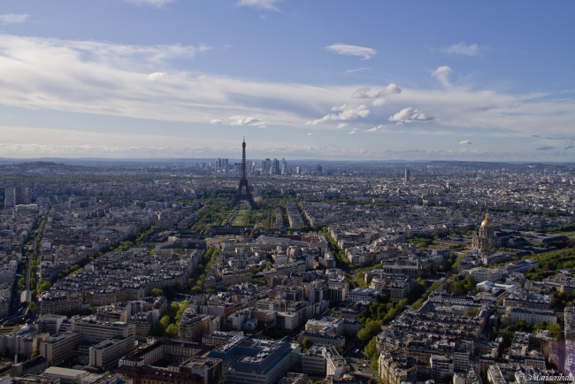 Обои картинки фото города, париж, франция, панорама, дома, эйфелева, башня