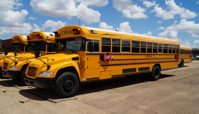 Обои картинки фото christoval, isd, blue, bird, vision, school, bus, автомобили, автобусы, желтый, школьный, автобус