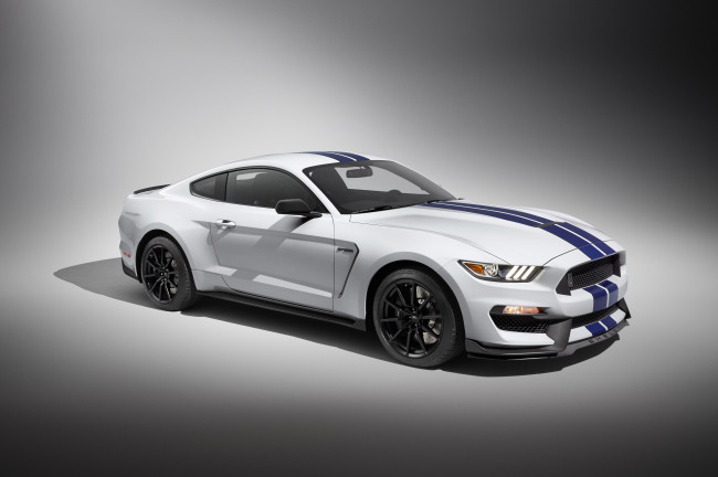 Обои картинки фото автомобили, mustang, 2015г, shelby, gt350, светлый