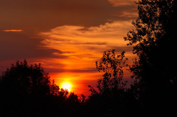 Картинка природа восходы закаты силуэт зарево деревья закат солнце облака небо